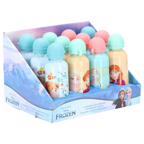 Παγούρι Frozen aluminium bottle Disney 500ml