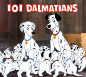 Dalmatians 101
